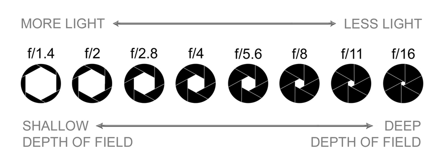 Diagram showing how f-stop values change the aperture opening and depth of field