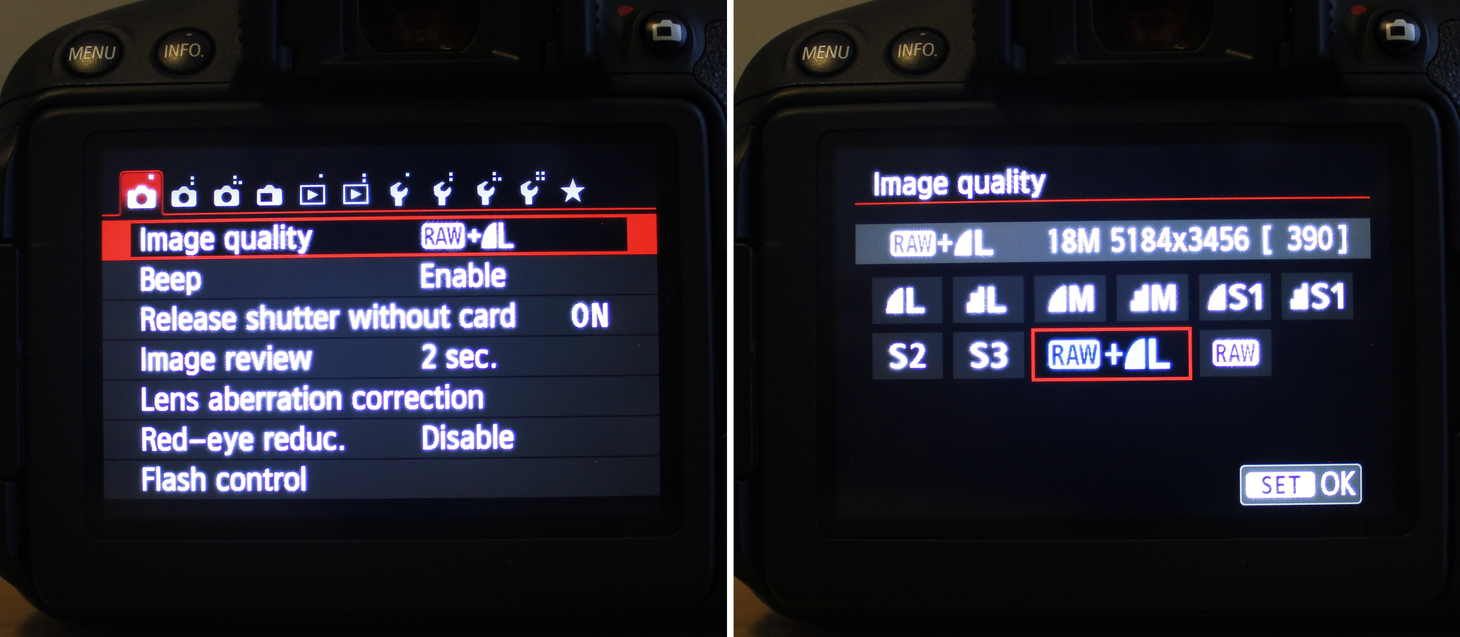 Set RAW + JPEG through the Camera MENU