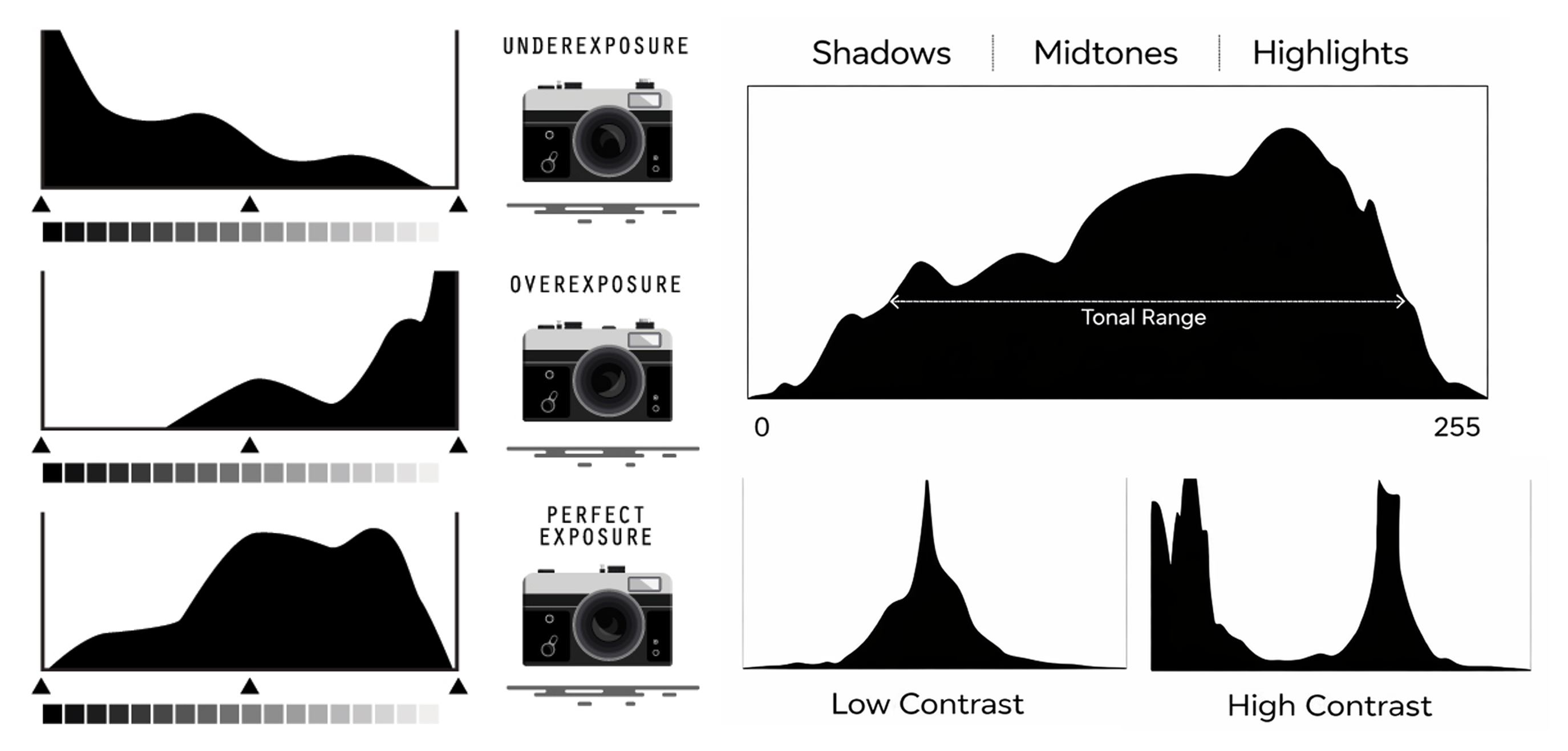 Camera display showing an exposure histogram