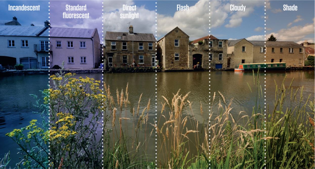 White Balance settings comparission in a rural city scene showing different white profiles.