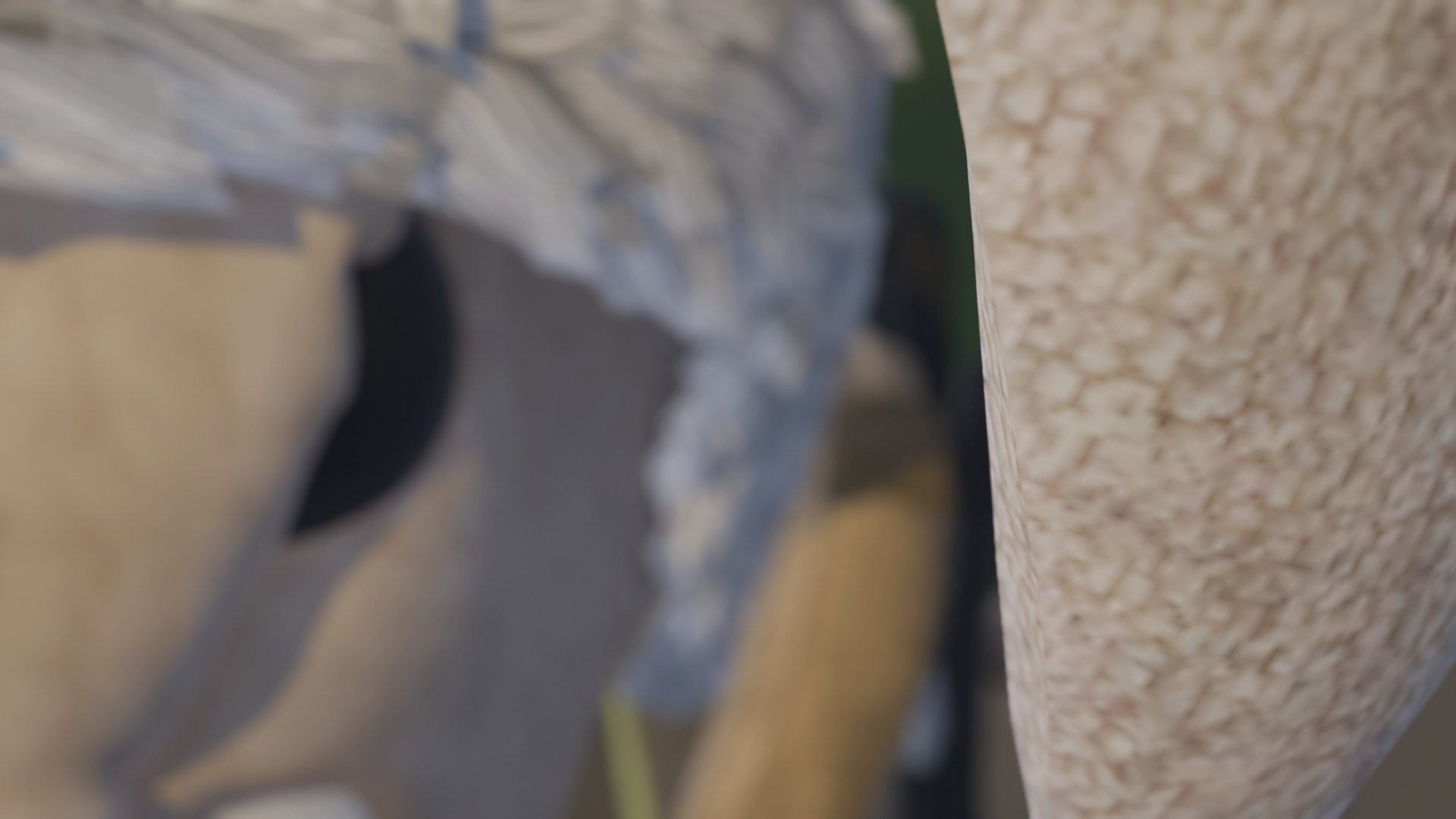 Example showing shallow depth of field with focus on the ear of the subject where the face looks blurry.