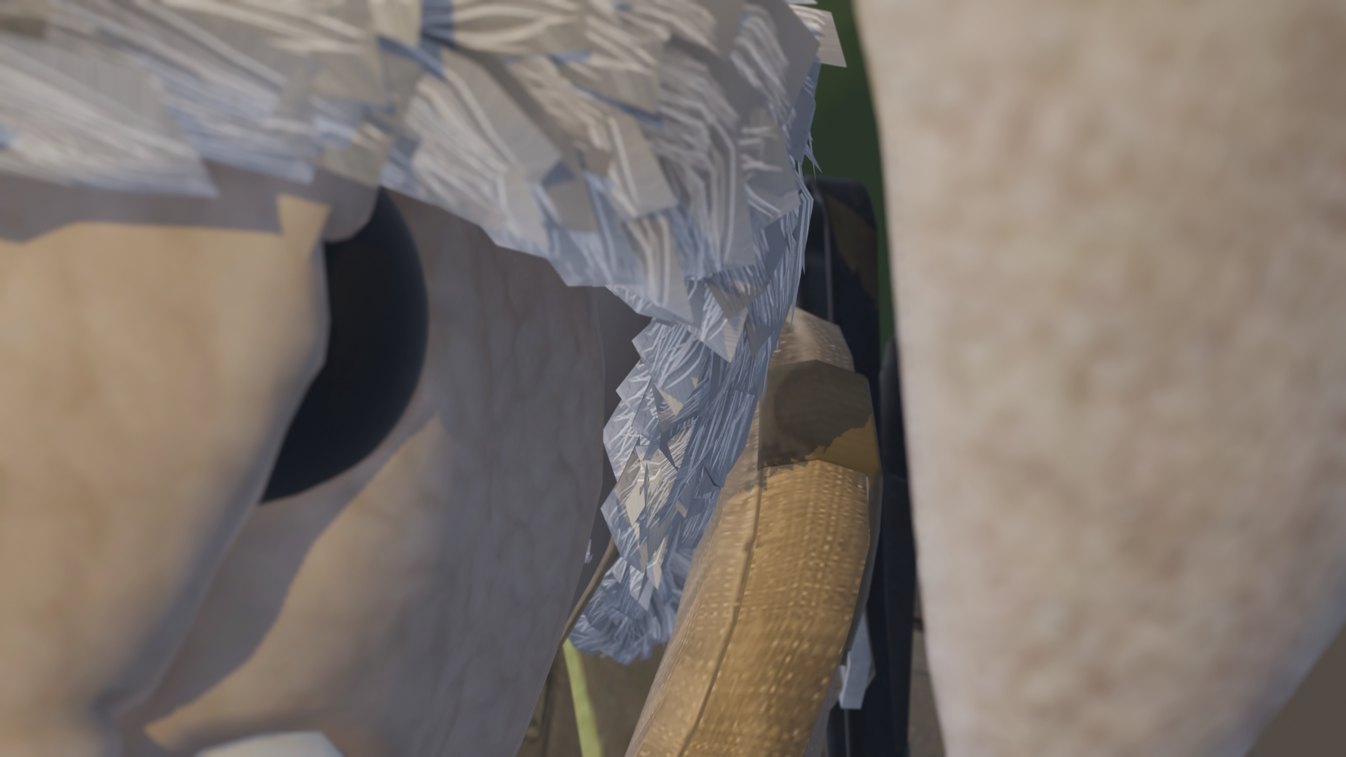 Example showing shallow depth of field with focus on the face of the subject where the ear looks blurry.